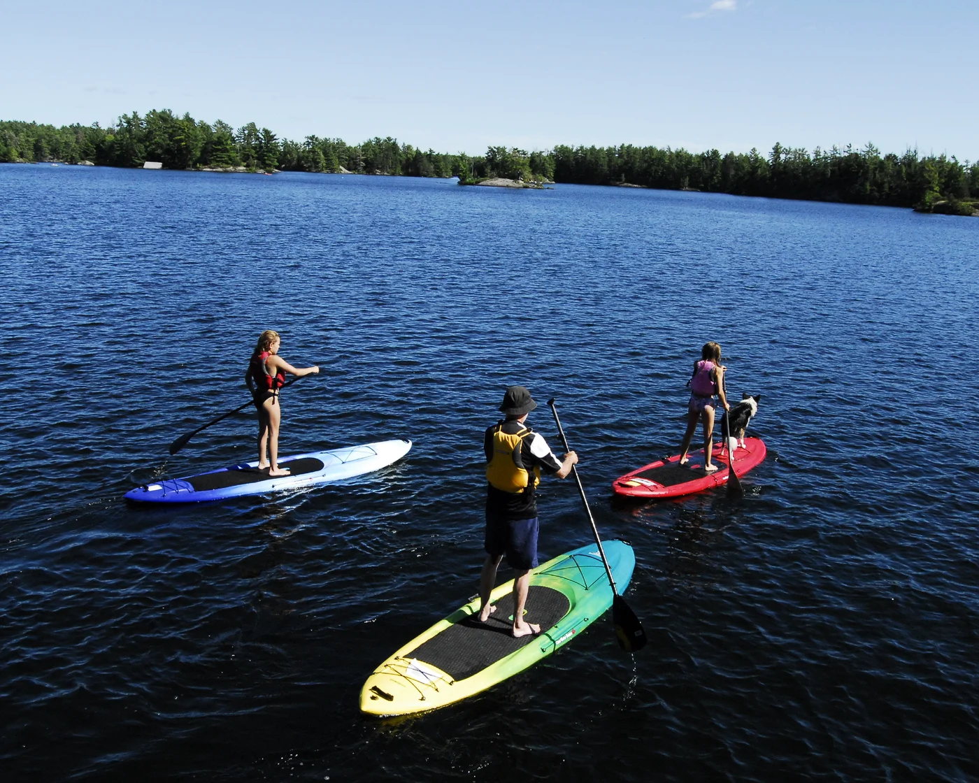 Stand-Up Paddleboard rental at Cooks Bay Marina on Lake Simcoe
